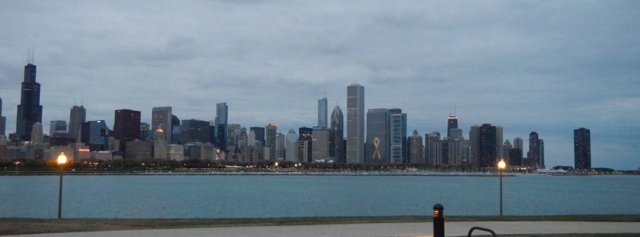 Chicago Skyline at Night Chicago Skyline