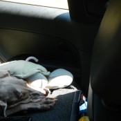 Sleeping with her turtle
