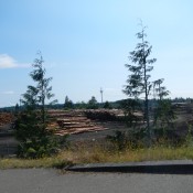 Near Raymond WA