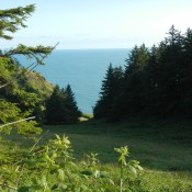 View down the hillside