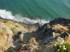 Looking down the cliff Road Trip from Seattle to Oregon