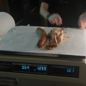 You can't go wrong with Meat by the Pound!