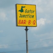 Gators Everywhere