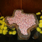 Texans sure do love Texas :-)
