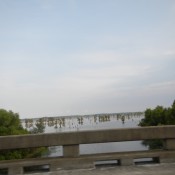 Bayou