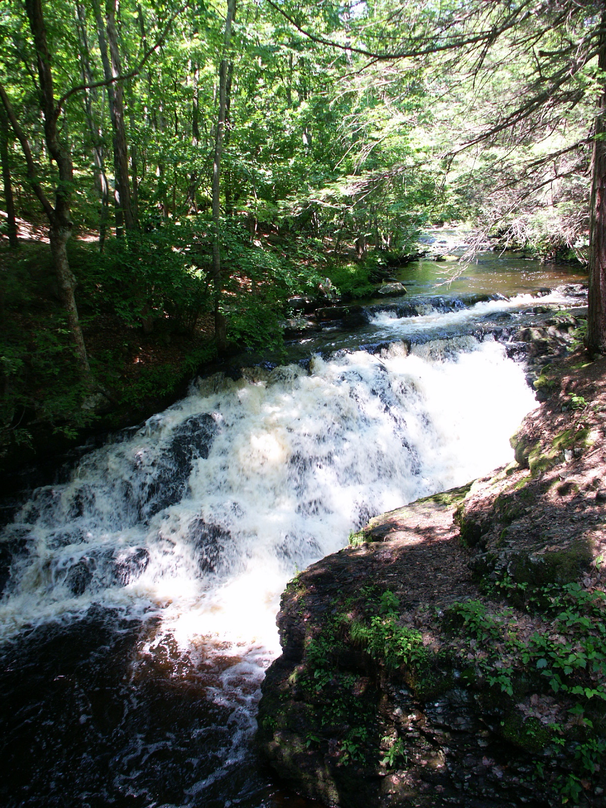 Bushkill Falls | Niagara of Pennsylvania | Poconos | Pet ... Bushkill Falls | Niagara of Pennsylvania | Poconos | Pet ...