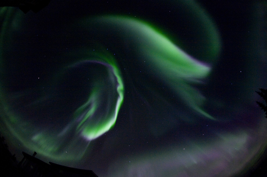 Aurora Dancing in the Night Aurora Dancing in the Night