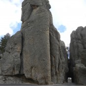 A tunnel in the Black Hills