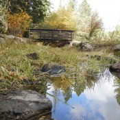 River in Custer Park