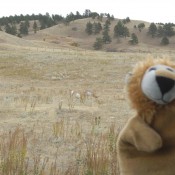 South Dakota back country