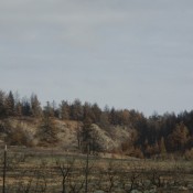 Montana backcountry