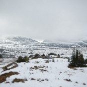 View of the Snow Capped Mountains at Logans Pass, Glacier Natl Park, MT