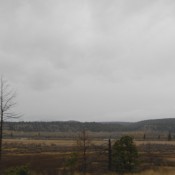 Rural BC