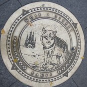 Road Markers in Banff Canada