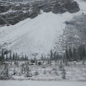Ice Fields in the Canadian Rockies