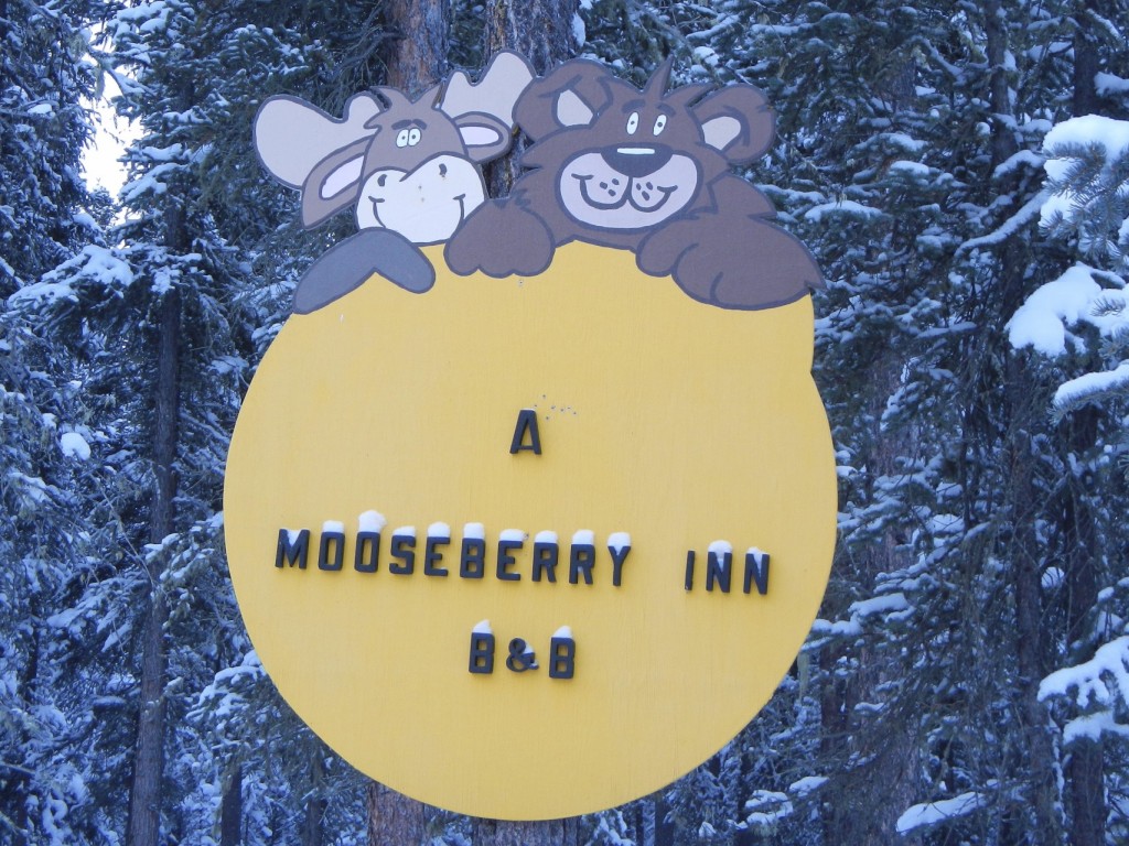A Mooseberry Inn Bed and Breakfast A Mooseberry Inn Bed and Breakfast