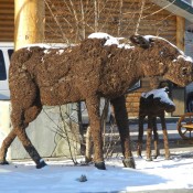Moose Topiary at Pikes Waterfront Lodge Fairbanks Alaska