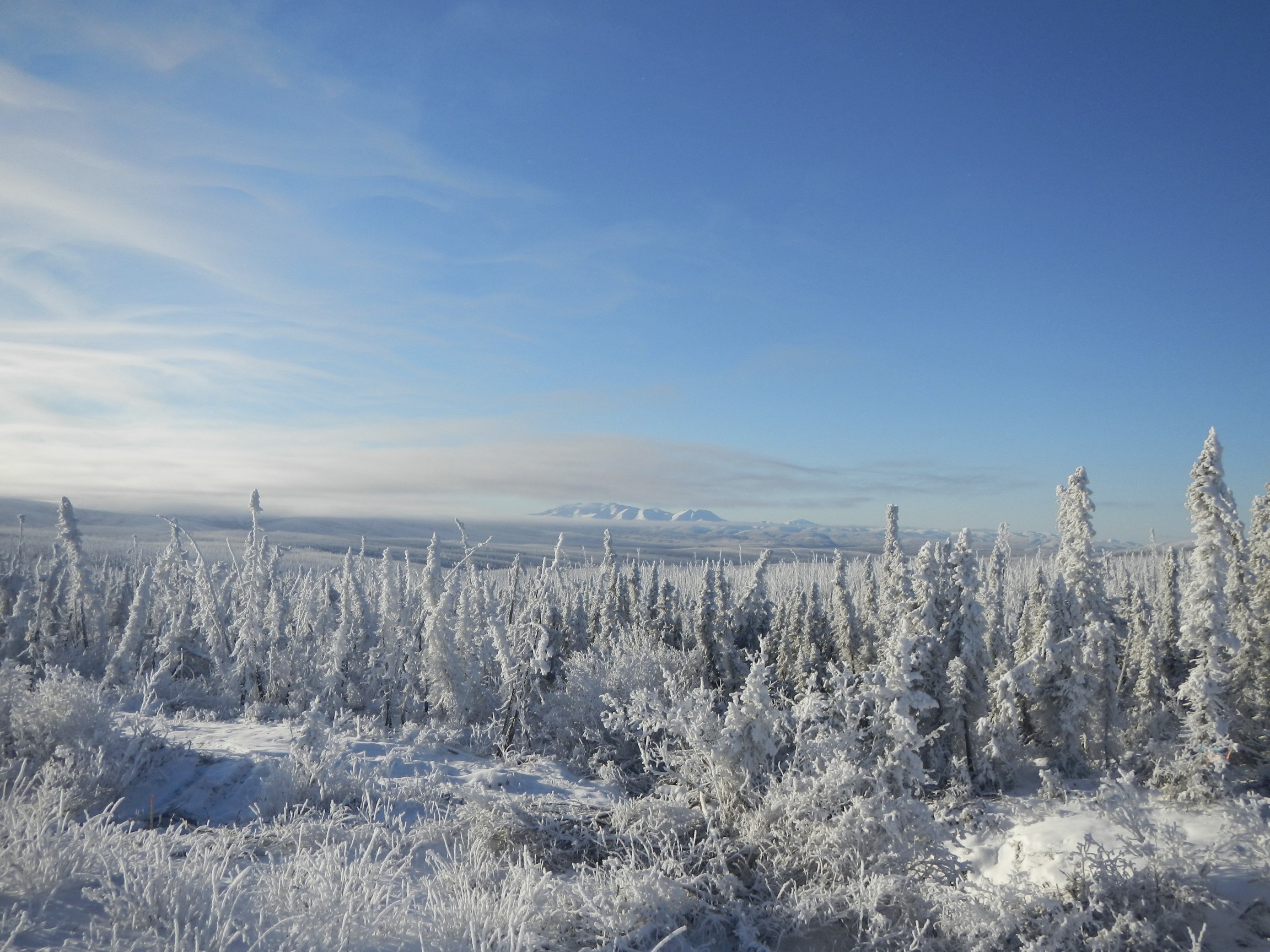 Alaska's Dalton Highway Road Trip Fairbanks Deadhorse Driving