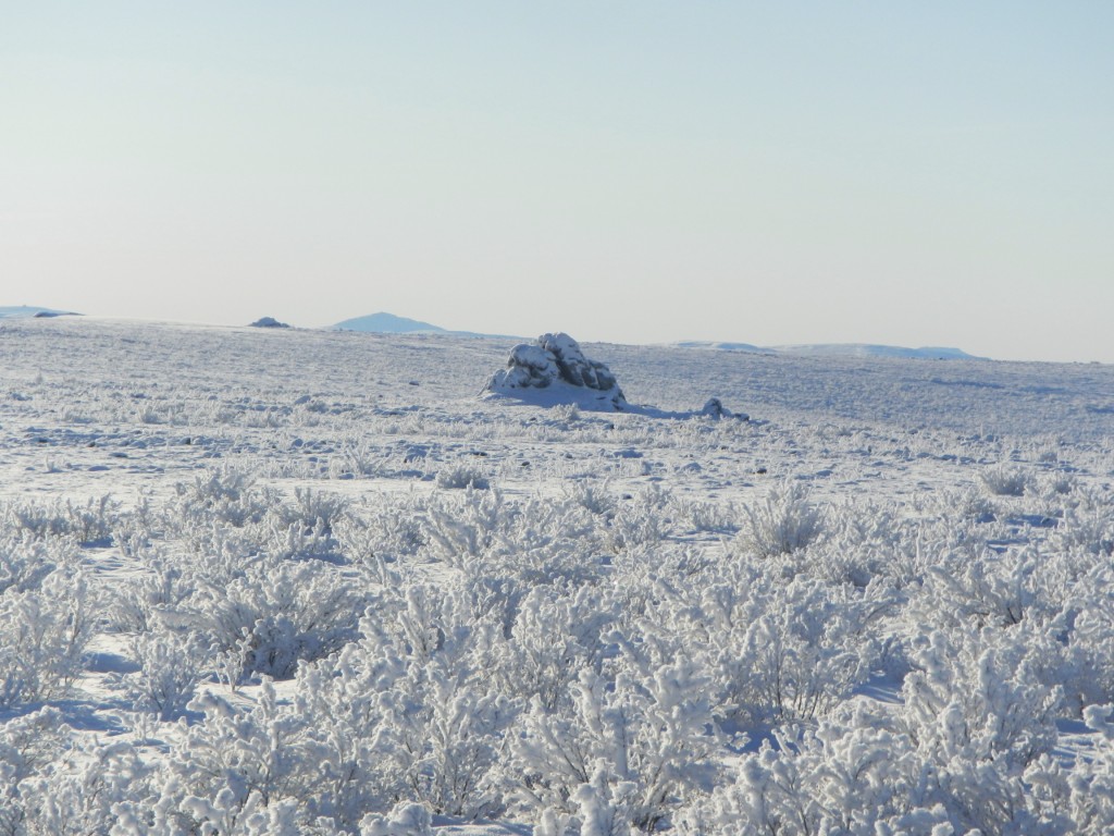 Frozen Tundra | Northern Alska Frozen Tundra | Northern Alska