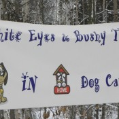 White Eyes and Bushy Tails Pet boarding
