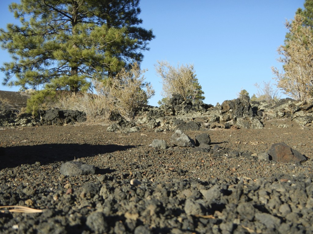 Lava Rocks in Sunset Crater National Monument Near Flagstaff Arizona Lava Rocks in Sunset Crater National Monument Near Flagstaff Arizona