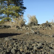 Lava Rocks in Sunset Crater National Monument Near Flagstaff Arizona