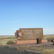 Petrified National Forest Arizona between Flagstaff and Albuquerque