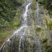 Waterfall at the Japanese Tea Garden San Antonio