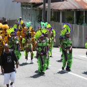 Jaggesar and Associates - Carnival in Trinidad