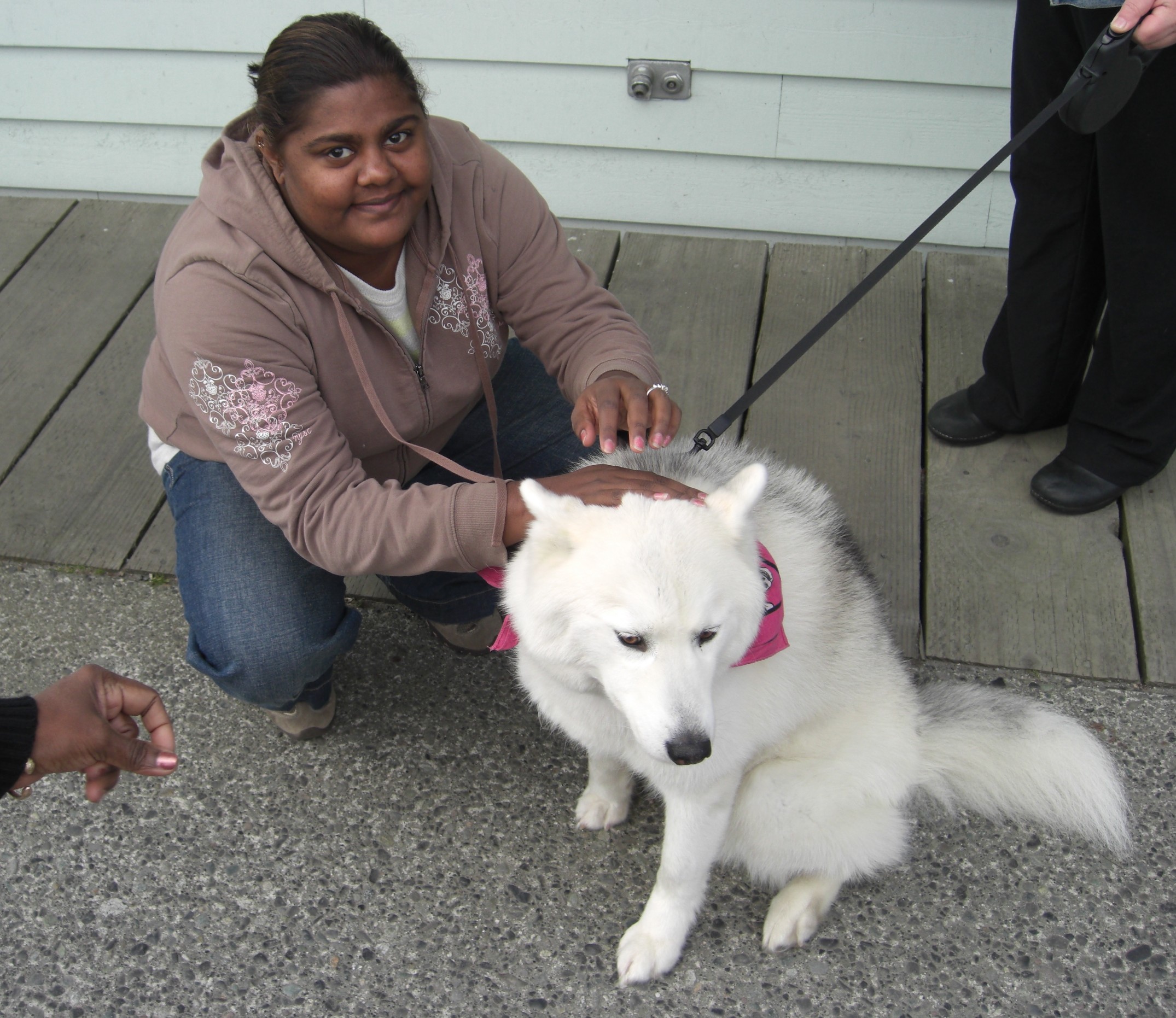 Cute Dog in Alaska Dog Snogs: Puppy Love and My Cheating Heart