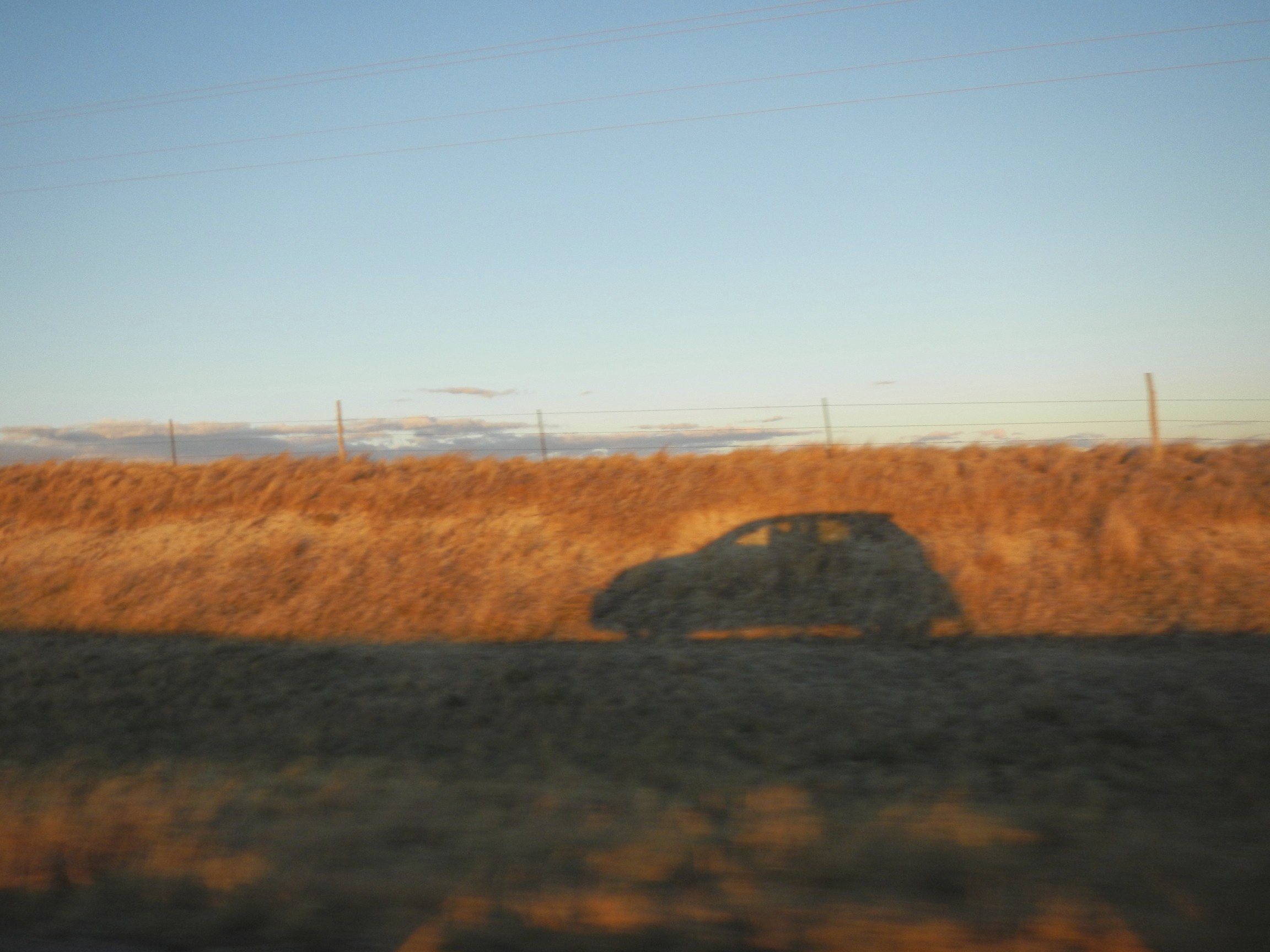 #FriFotos #Shadows