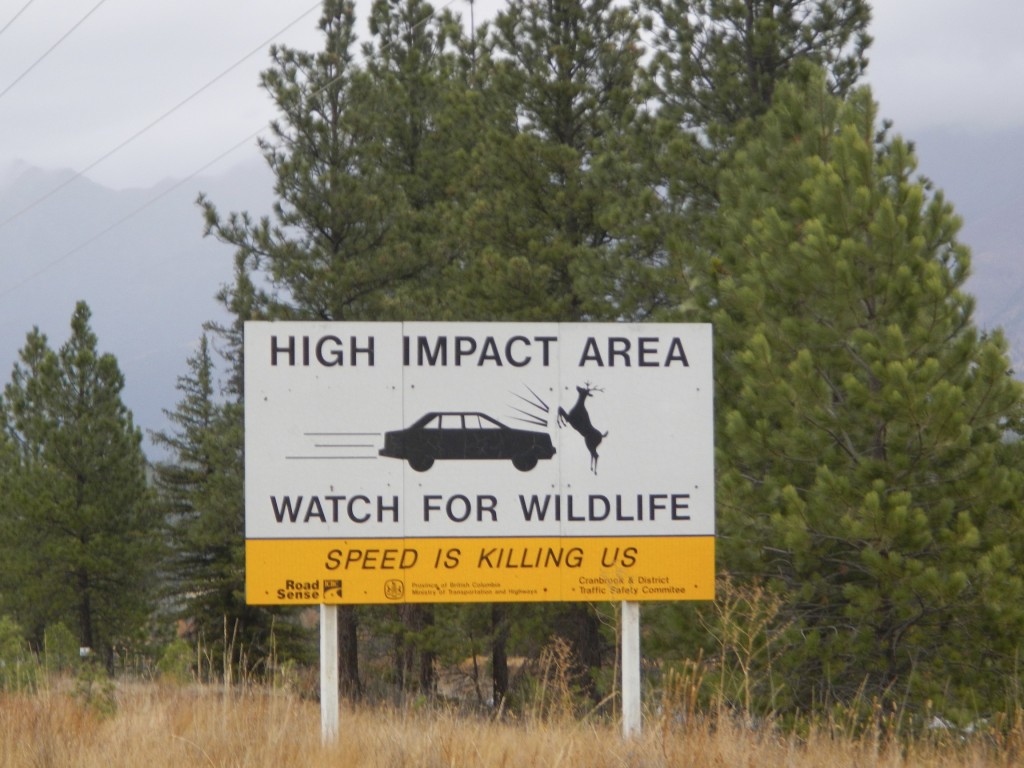 Watch out for wildlife - Canadian Road Signs Photo 2 Watch out for wildlife - Canadian Road Signs Photo 2