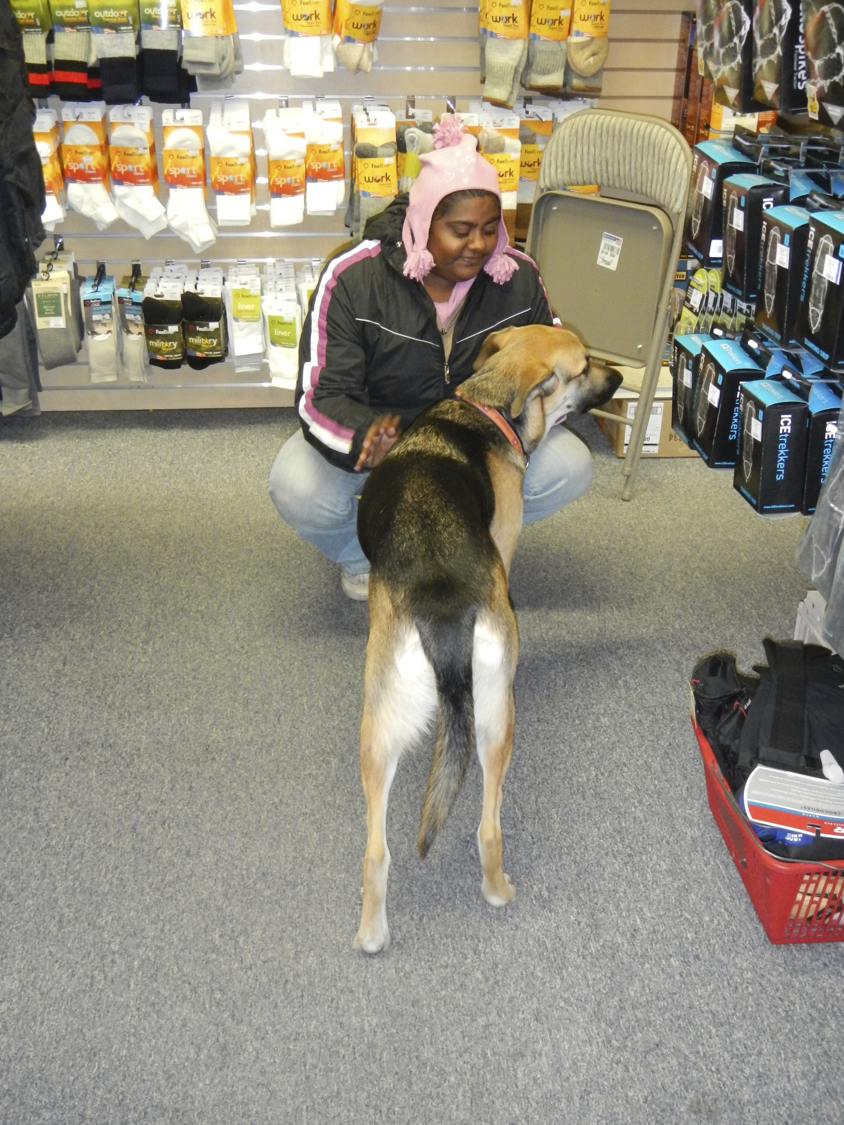 Even Working dogs need Puppy Love! Dog Snogs: Puppy Love and My Cheating Heart
