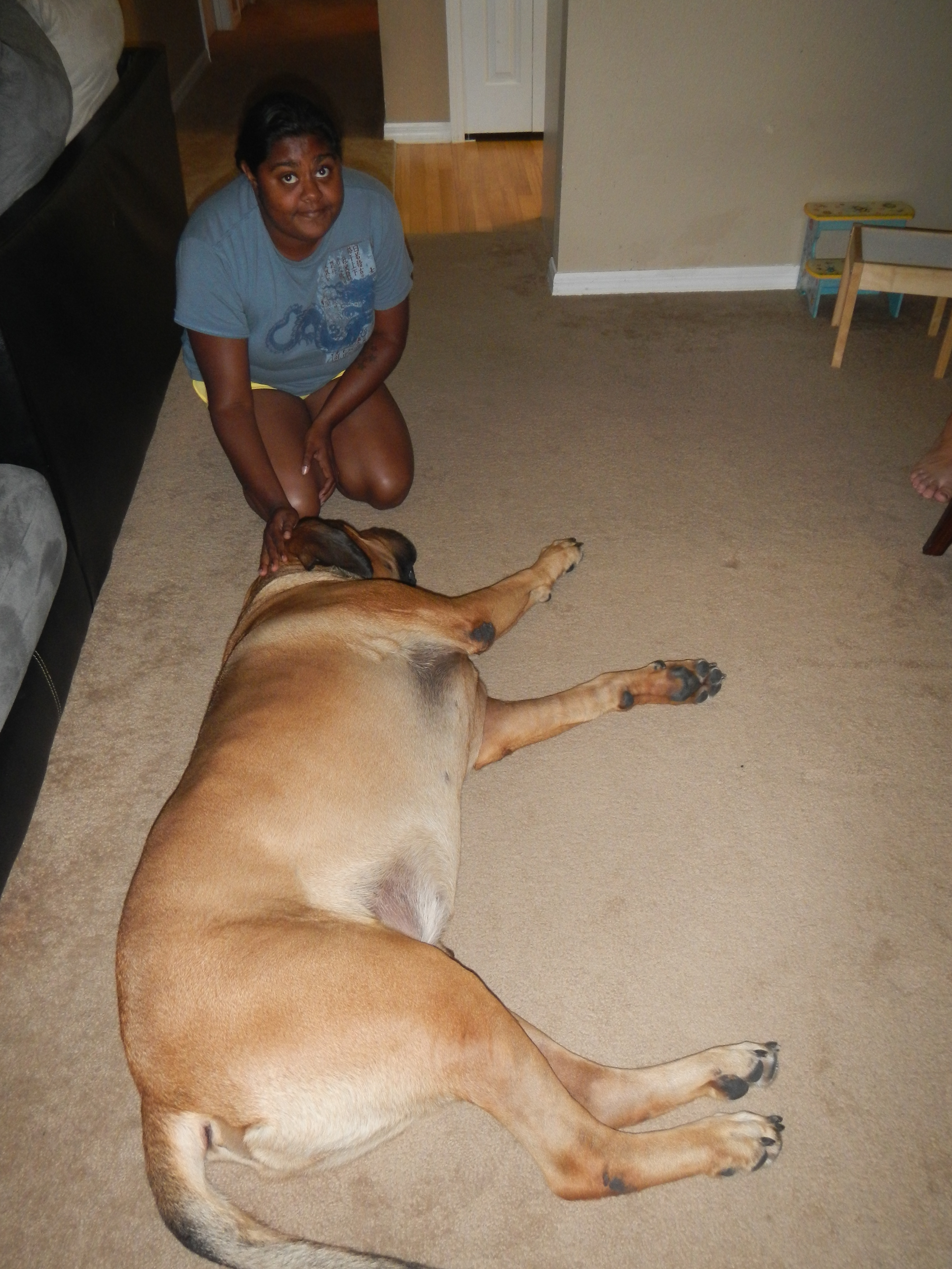 Massive Mastiff - Zeus Dog Snogs: Puppy Love and My Cheating Heart