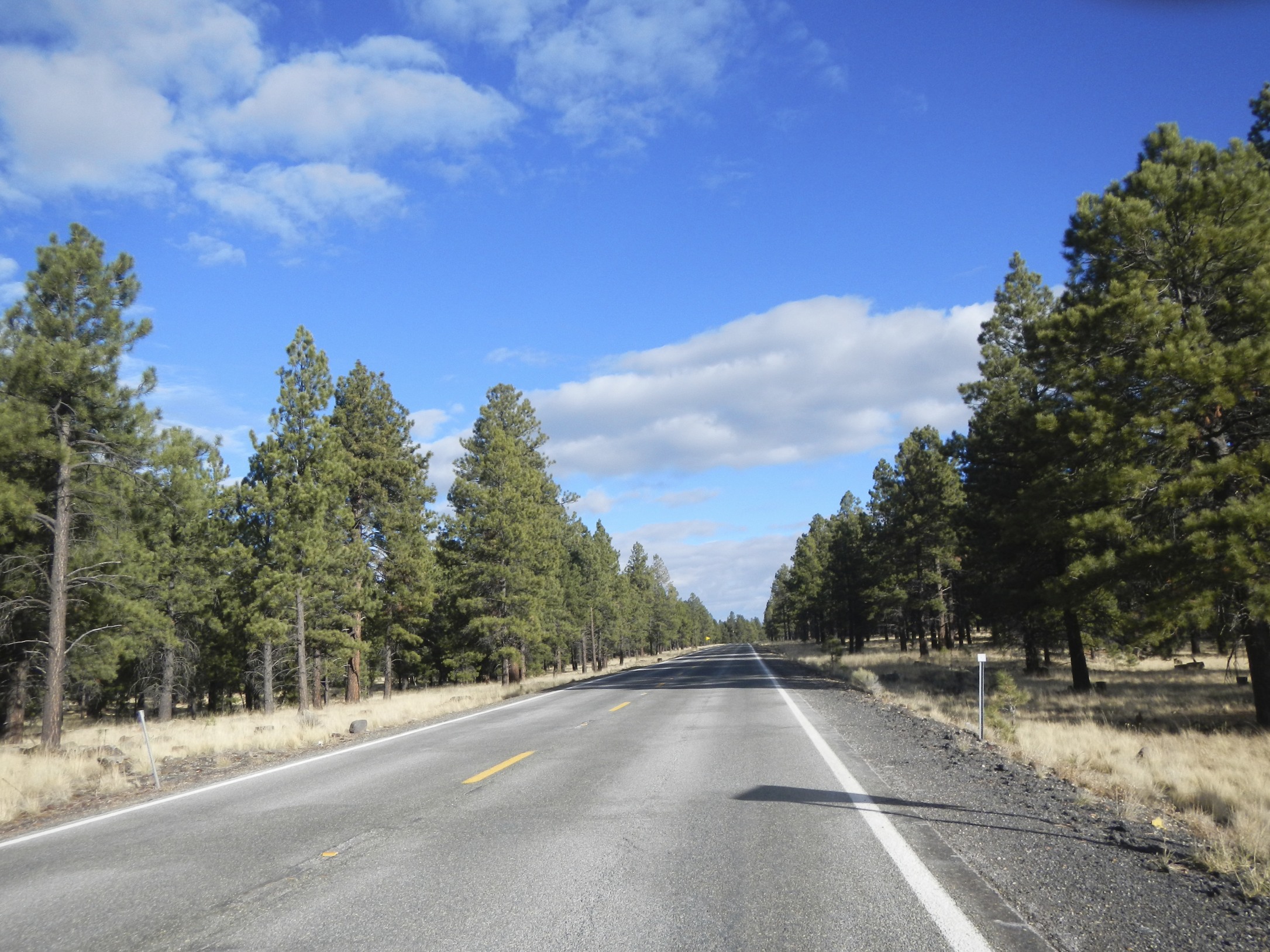 The drive through Coconino National Forest National Forest on the way to the Grand Canyon