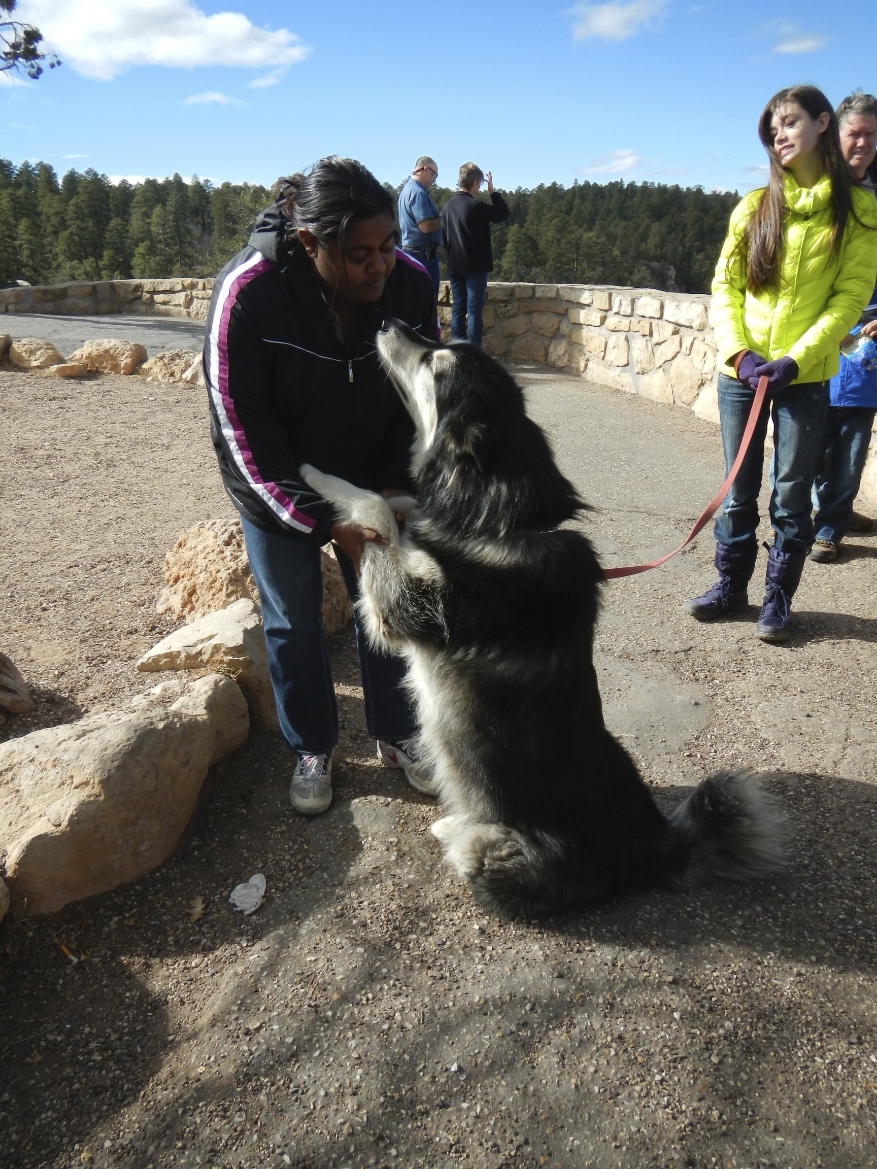 Petting a Dog in the Grand Canyon Dog Snogs: Puppy Love and My Cheating Heart
