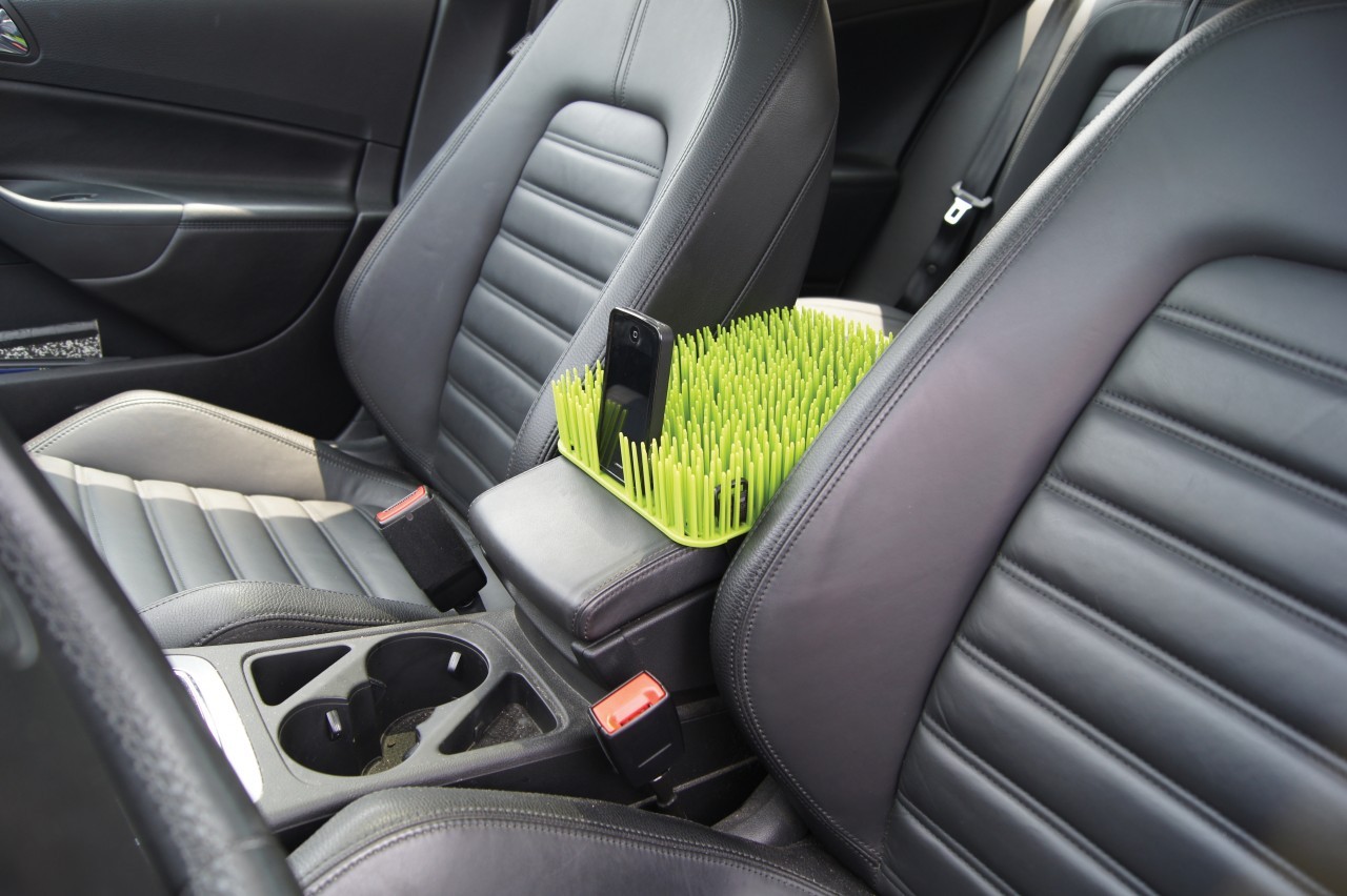 This innovative "grass" keeps fido off the console