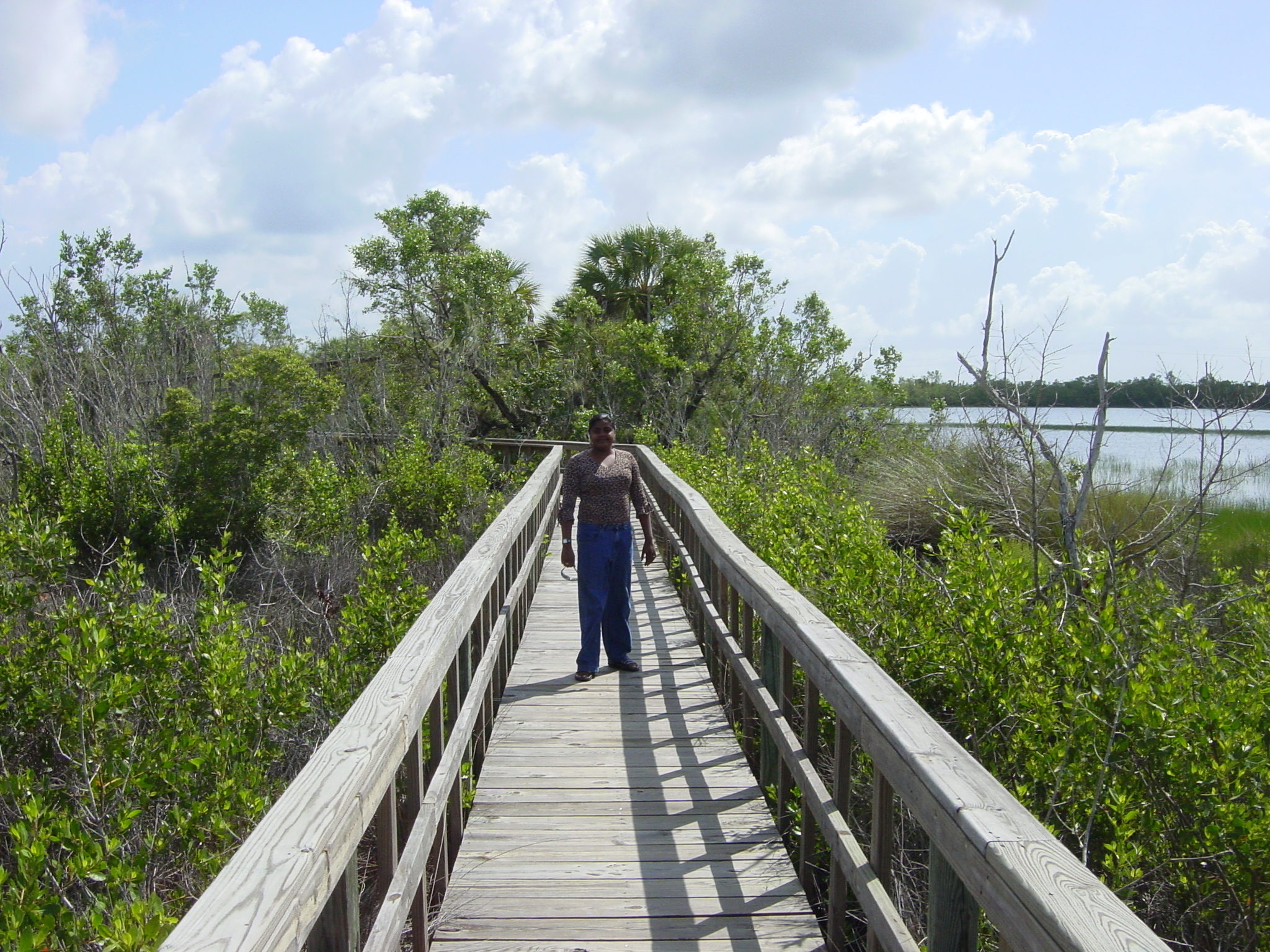 Everglades Sawgrass Lauren taking a stroll through the sawgrass