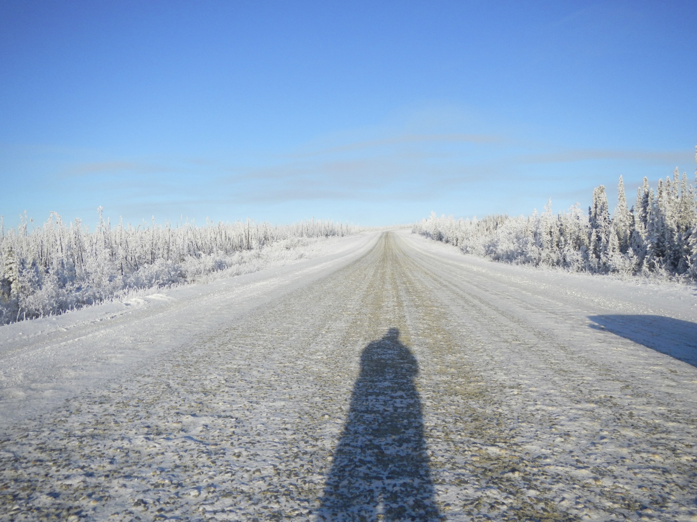 #FriFotos #Shadows