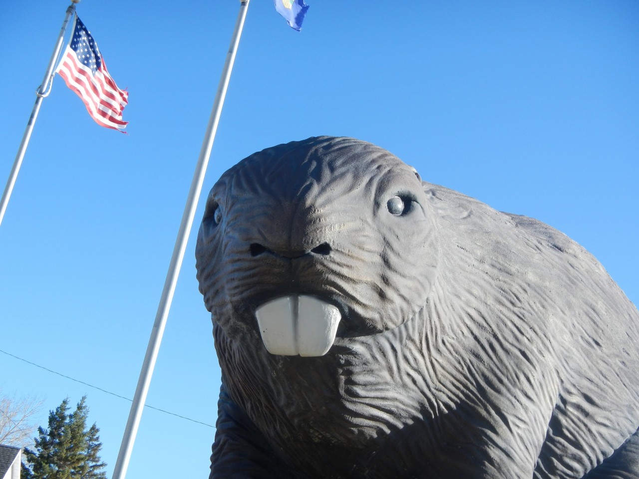 Beaver Attraction Canada Giant Beaver Face