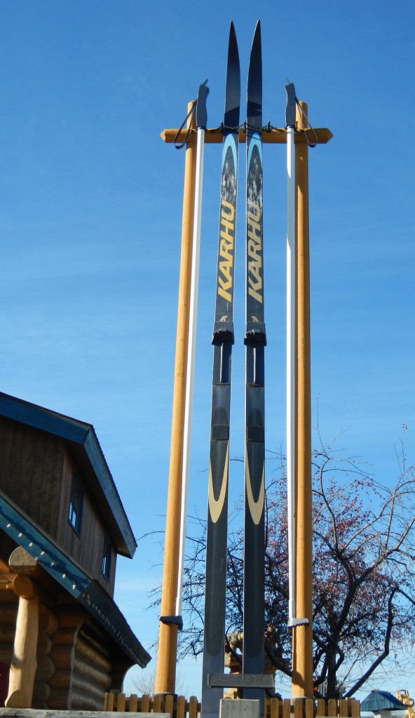 Giant Cross Country Skis Giant Cross Country Skis
