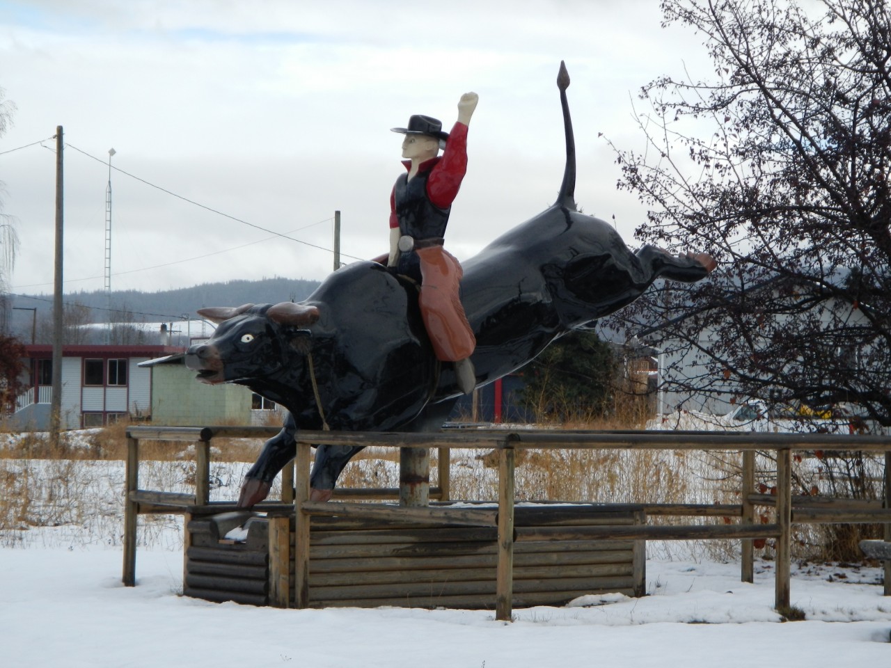 Houston Bull Rider Houston Bull Rider