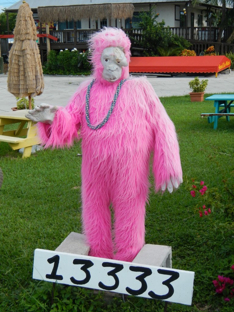 Pink Gorilla Key West Road Trip Attractions Pink Gorilla