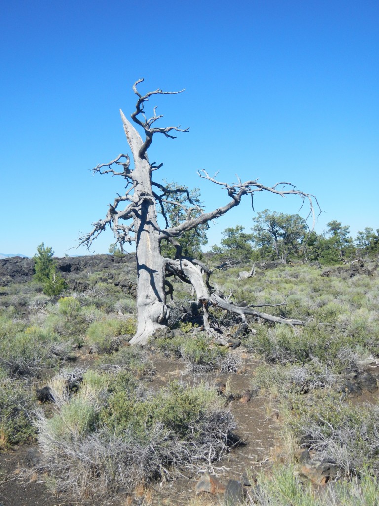 Craters of the Moon, ID