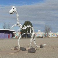 DSCN2899