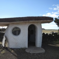 DSCN2929