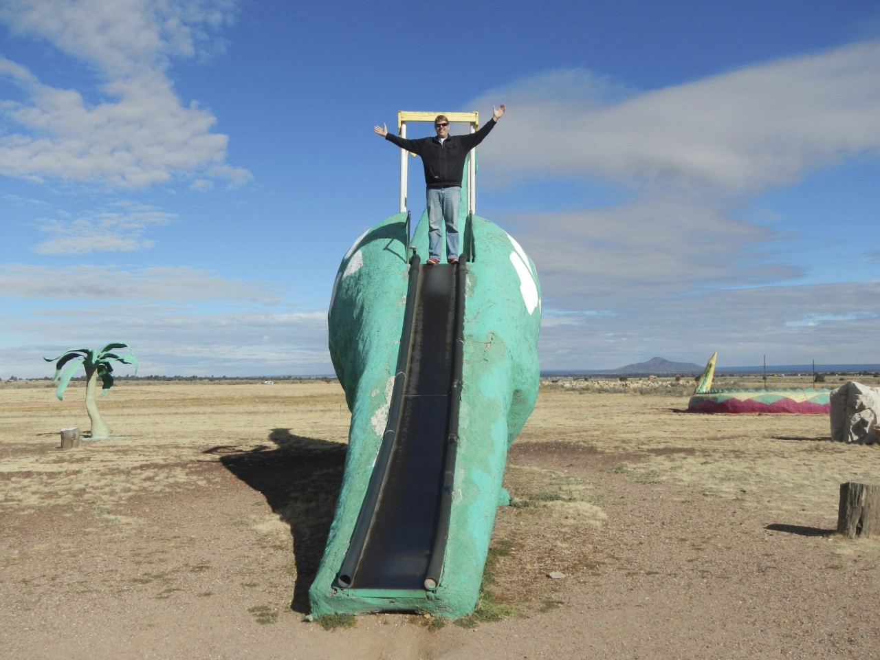 Dinosaur slide