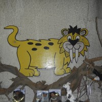 DSCN2965