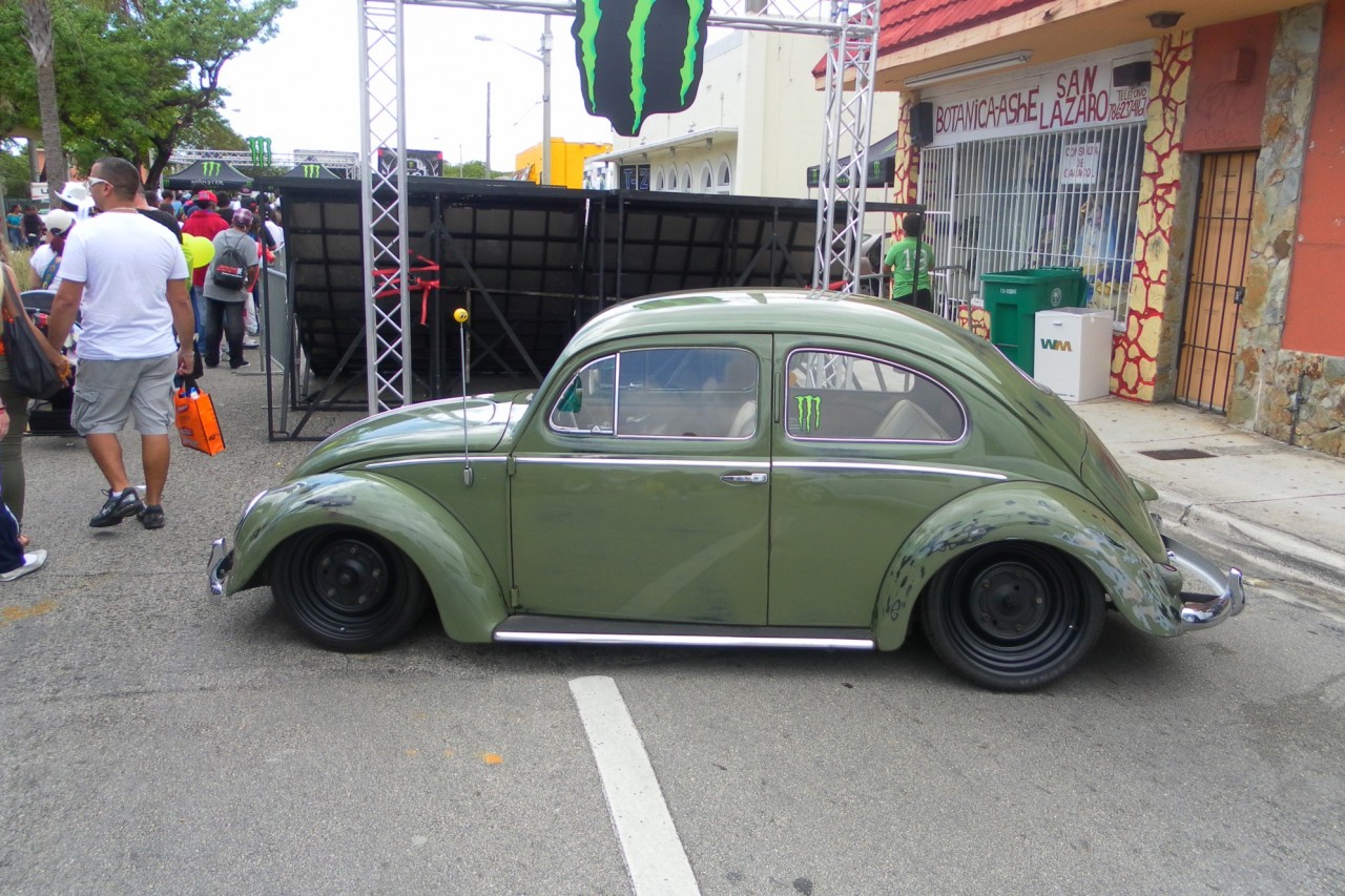 Beetle Dropped Beetle