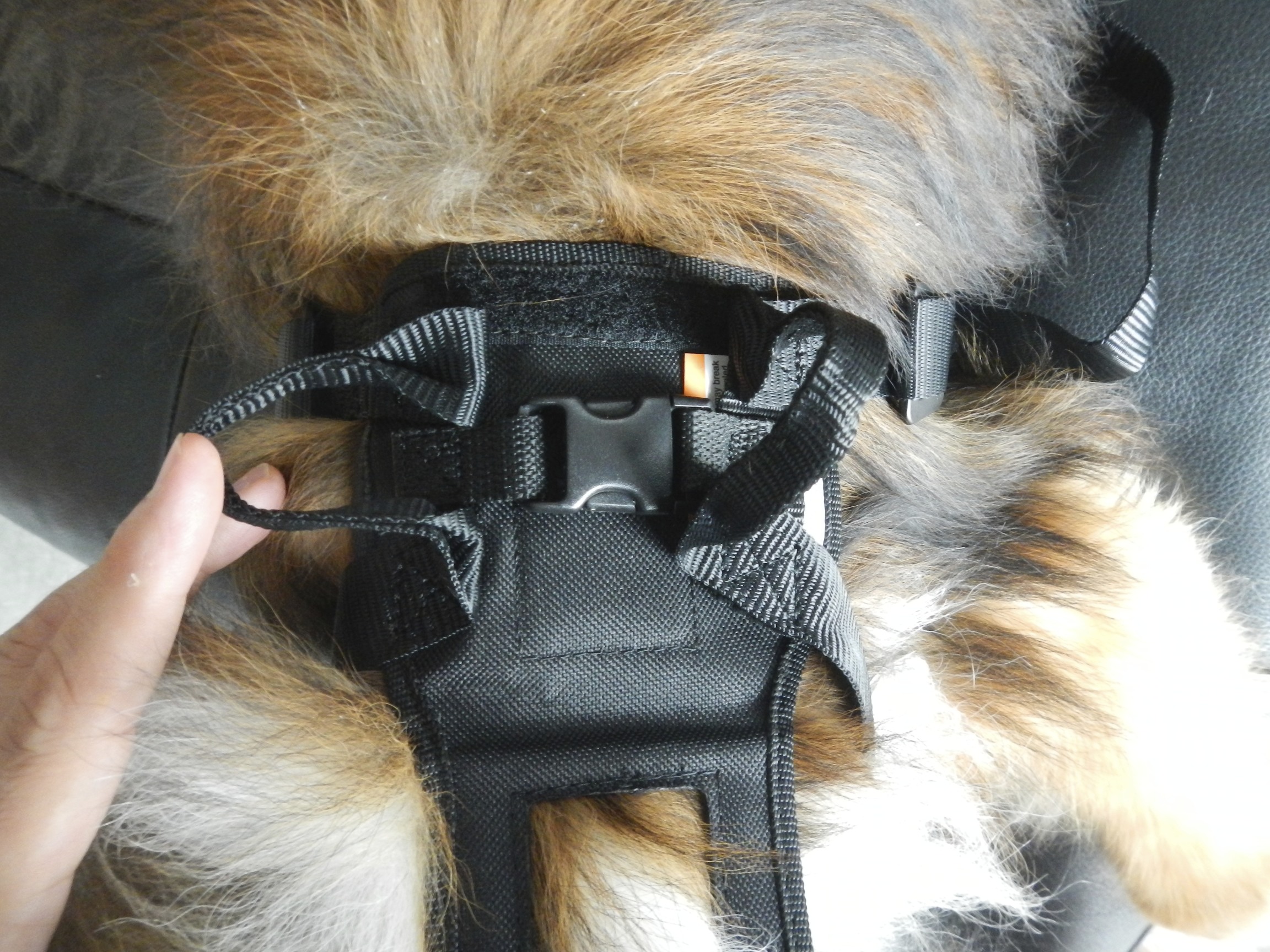 Safe Dog Travel Bergan Pet Review Dog Auto Harness